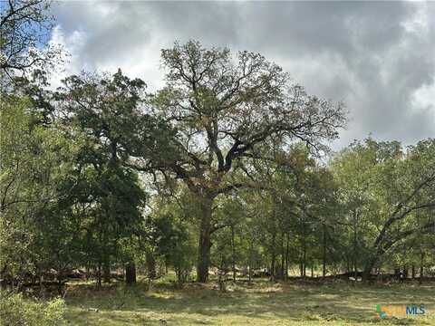 650 Coastal Lane, Luling, TX 78648