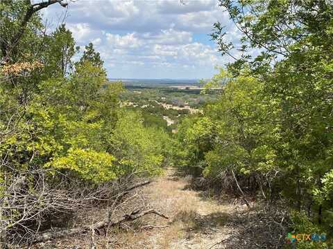 Fm 1113 W Lindorbet Ranch, Lot 16A, Copperas Cove, TX 76522