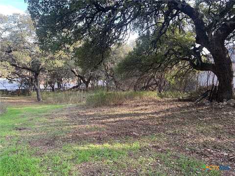 2675 Country Ledge Drive, New Braunfels, TX 78132