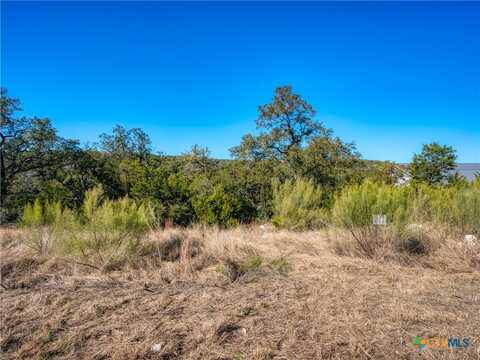1349 Powder Ridge Road, New Braunfels, TX 78132