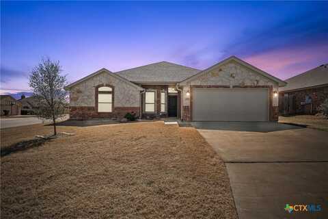 8305 Split Trail Cove, Temple, TX 76502