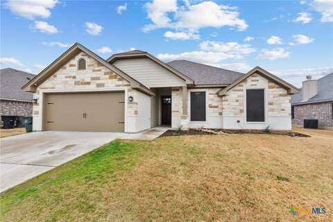 2517 Turtle Dove Drive, Temple, TX 76502