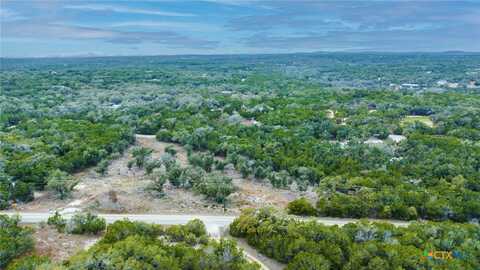 301 Lonesome Trail, Driftwood, TX 78619