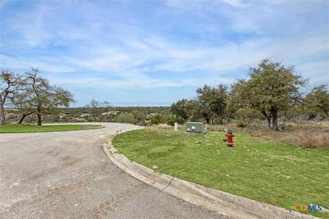 496 Havasu Point, Spring Branch, TX 78070