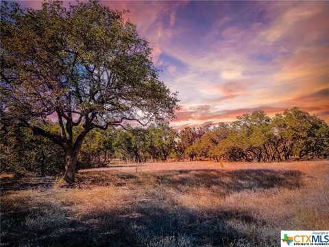 34760 Carries Creek Drive, Bulverde, TX 78163