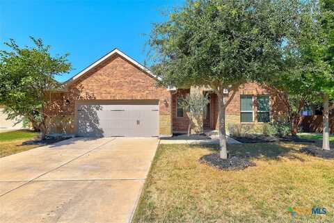557 Scenic Bluff Drive, Georgetown, TX 78628