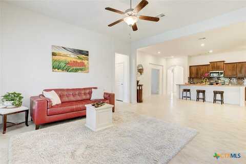 557 Scenic Bluff Drive, Georgetown, TX 78628
