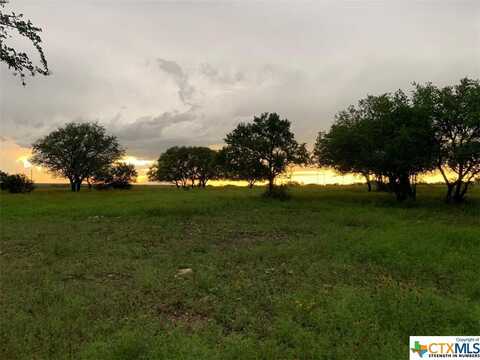 Lot 153 High Point Drive, Kempner, TX 76539