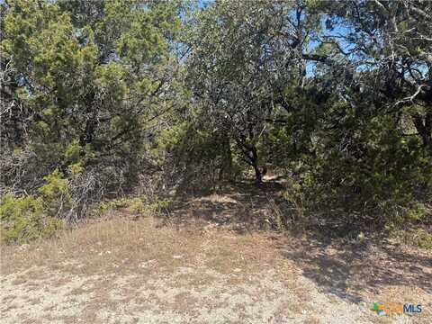 855 Golden Eagle Loop, Canyon Lake, TX 78133