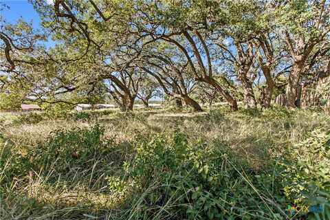 1400 Greenlawn Parkway, Blanco, TX 78606