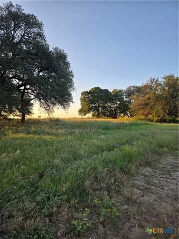 454 Grand Canyon Drive, Oglesby, TX 76561