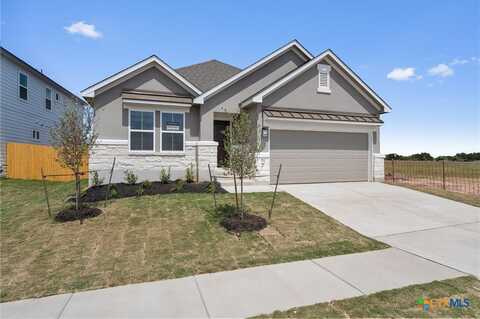 224 Ironshoe Trail, Liberty Hill, TX 78642
