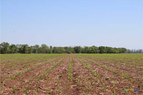 Tbd County Road 301, Marlin, TX 76661