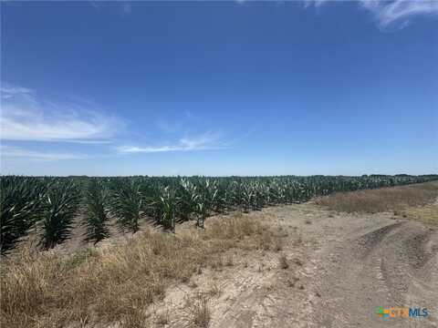Tbd CR 335 Road, Louise, TX 77455