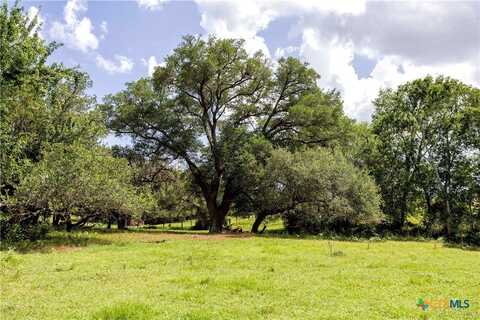 Tbd County Road 214, Hallettsville, TX 77964