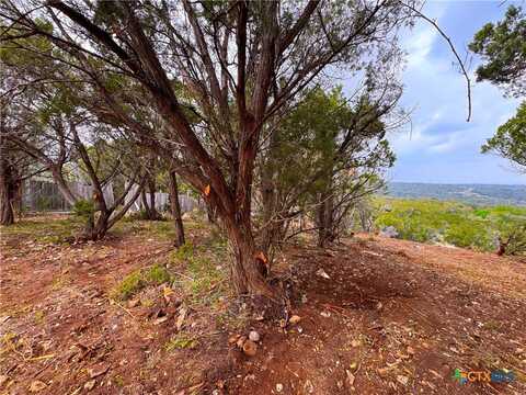 1367,1377 High Hills Drive, Canyon Lake, TX 78133