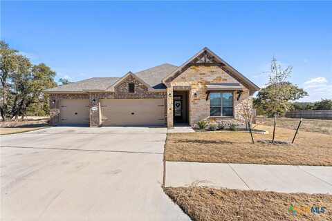 1207 Haley Lane, Salado, TX 76571