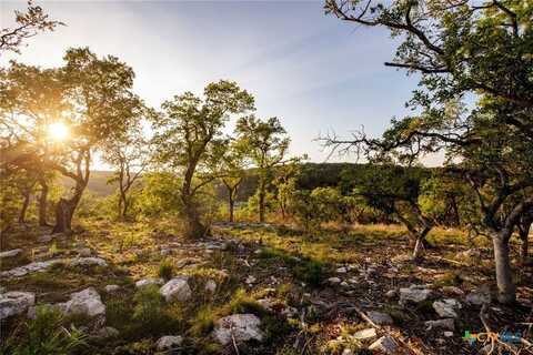 1333 Powder Ridge Road, New Braunfels, TX 78132