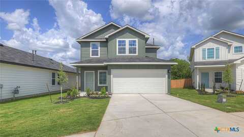 229 LANGSTON Drive, Maxwell, TX 78656