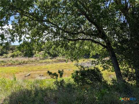 19529 Adrian--5.53 Acres, Lago Vista, TX 78645