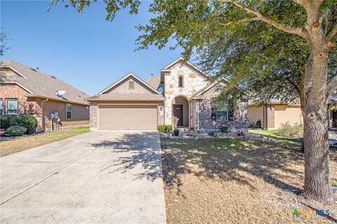 136 Mistflower Lane, Kyle, TX 78640