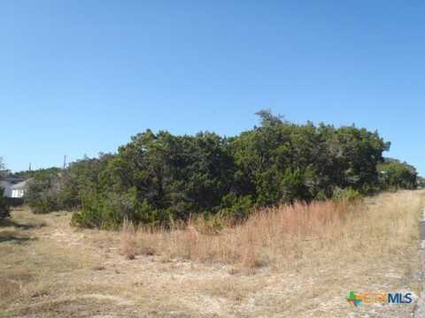 1266 Highpoint Ln, Spring Branch, TX 78070