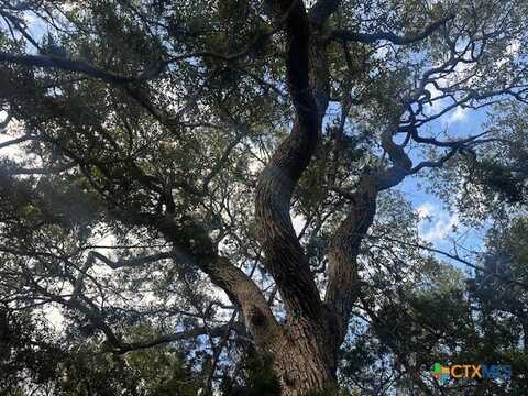 247 Longwood Drive, New Braunfels, TX 78132