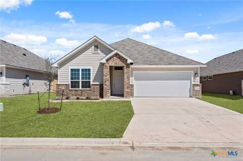 7914 Timber Hollow Lane, Temple, TX 76502