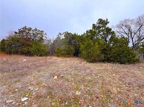 0 Atlantis Avenue, Spring Branch, TX 78070
