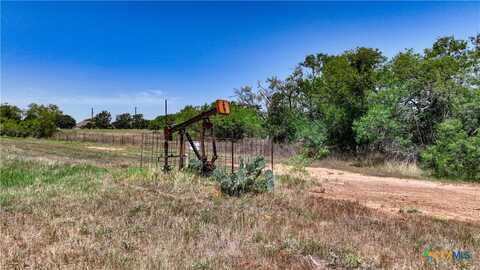 2318 Warncke Road, La Vernia, TX 78121