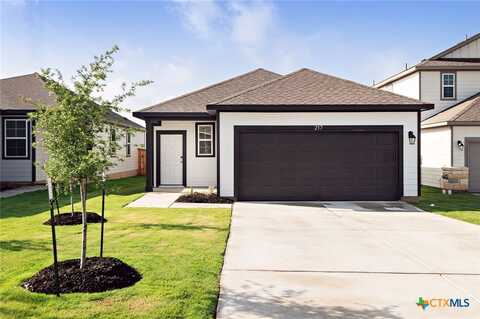217 Alcatraz, Jarrell, TX 76537