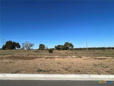 1625 Hunt Drive, Salado, TX 76571