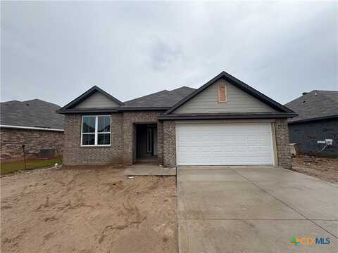 1229 Dowdy Drive, Belton, TX 76513