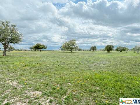 12211 Fm 531, Hallettsville, TX 77964