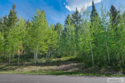 42 Blackfoot Trail, Victor, ID 83455