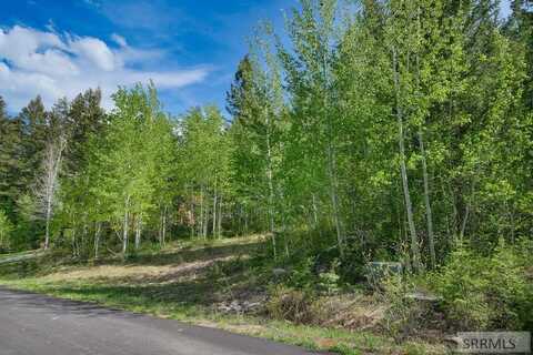 42 Blackfoot Trail, Victor, ID 83455