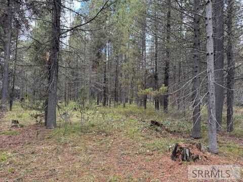 3783 Bills Loop North Rd, Island Park, ID 83429