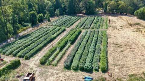 6534 Tunnel Loop Road, Grants Pass, OR 97526