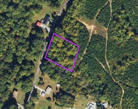 1 AC Turkey Track Lane, Nathalie, VA 24577