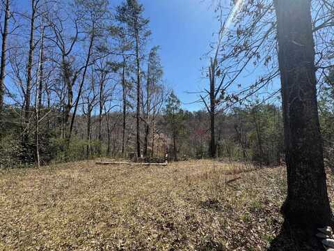 4655 Pumpkintown Highway, Pickens, SC 29671