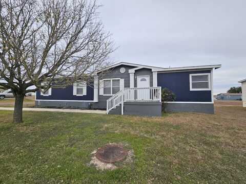 317 Buggy Whip Drive, Kyle, TX 78640