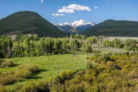 TBD Lot 6, East Fork Rd, Blaine County, ID 83333