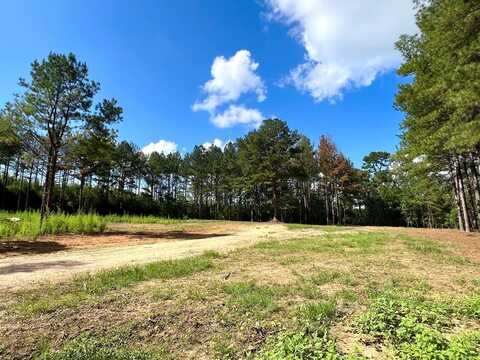 XXX Judge Rd, Gloster, MS 39638