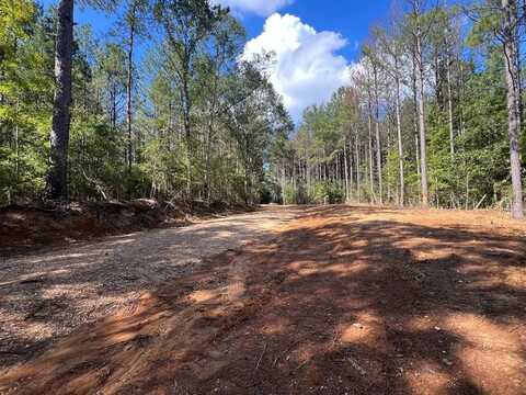 XXX Judge Rd, Gloster, MS 39638