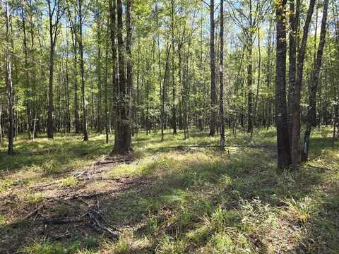 000 Dogtown Lane, Hazlehurst, MS 39083