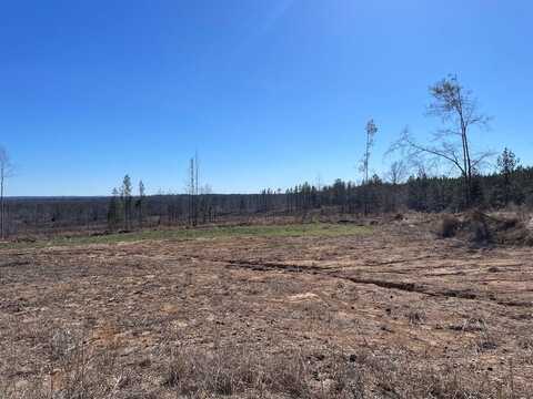 TBD Fire Tower Rd, Pattison, MS 39144