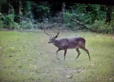 11353 U S Hwy 84 & 98, Roxie, MS 39661
