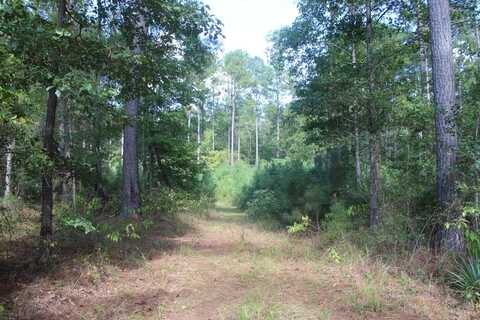 0000 River Road Drive SE, Bogue Chitto, MS 39629