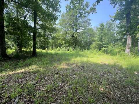 TBD Paige Dr, Mccomb, MS 39648