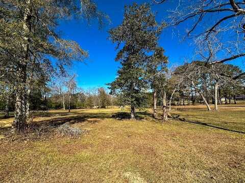 TBD Hershal Grady Hwy, Summit, MS 39666